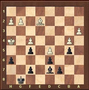 El “recordman (2.861!)” Magnus Carlsen  en el Tata Steel Wijk aan Zee 2013 (VII)