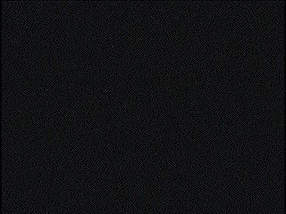 El Homo erectus y la capacidad de pensar