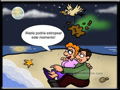 pollo relleno, pollo al horno, cebollas, cebollas propiedades, recetas con pollo, recetas de cocina, blog de cocina, curiosidades, humor, chistes