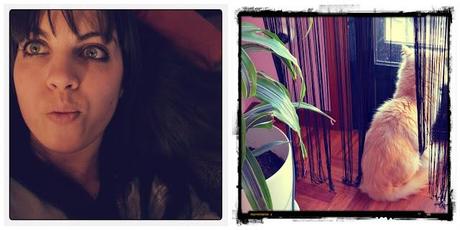 Bye Week! 20/January