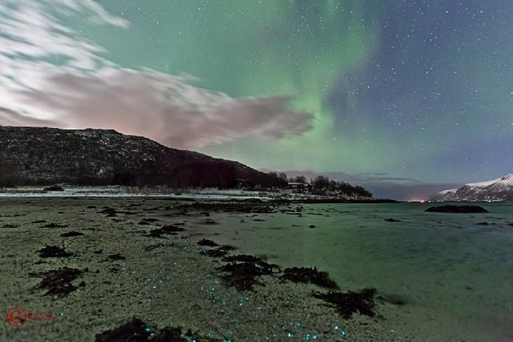 Una eyección de masa coronal alcanzó moderadamente el campo magnético de La Tierra. Fotos de espectaculares auroras