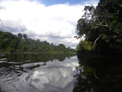 VENEZUELA, EL DELTA DEL ORINOCO