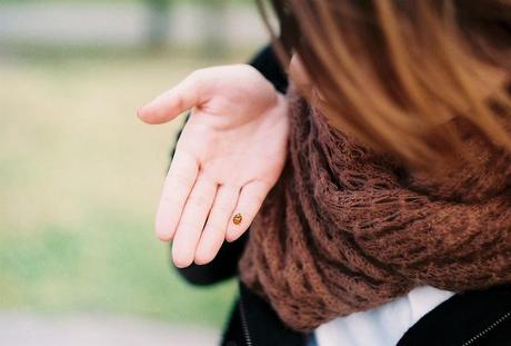 mariquita tumblr La teoría del segundo plato (5ª entrega)