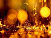 Luces sombras, Dénia