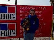 Antón 2013