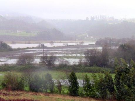 Video Temporal Gong en Asturias enero 2013: Inundaciones ribera Nalon