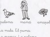 Amor madre