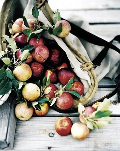 IDEAS SENCILLAS PARA ESTE OTOÑO