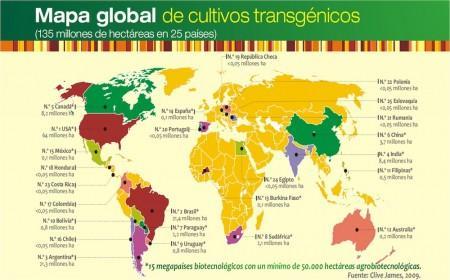 La población general desconfía de los alimentos transgénicos Mapa_Global_Cultivos_Transgenicos