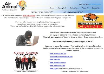 air animal transporte mascotas