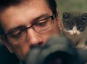 GTD: Productividad Gestión Atención