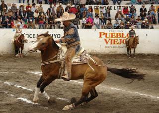 Puente de Camotlán Charreó a lo Campeón Nacional