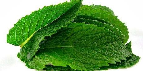 Cómo preparar enjuagues bucales naturales en casa Cómo preparar enjuagues bucales naturales en casa