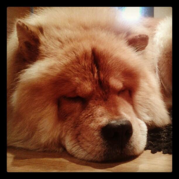 Mi semana en imágenes