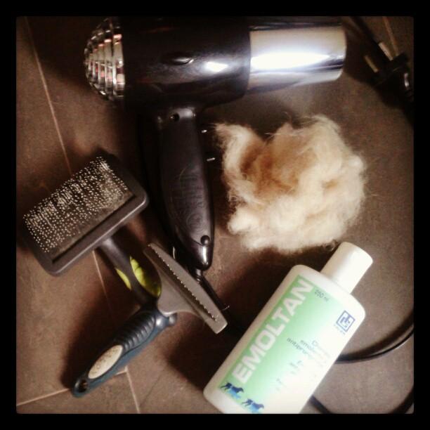 Mi semana en imágenes