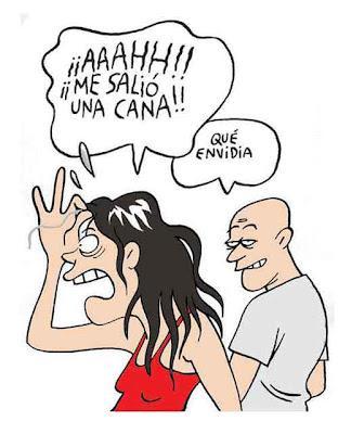 tortilla de queso, tortillas, relleno de champiñones, alcaparras, pimentón, perejil, recetas de cocina, blog de cocina, tortilla, curiosidades, humor, chistes