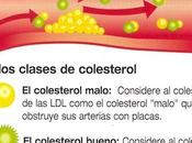 ¿Qué colesterol?