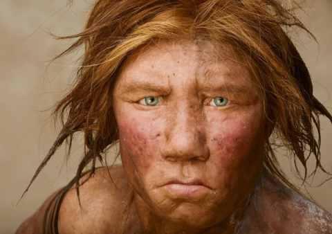 Se busca madre para clonación de Neanderthal