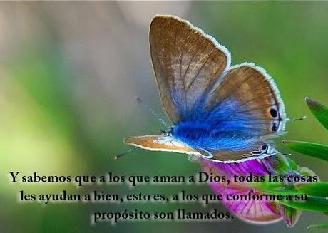 La voluntad expresa de Dios