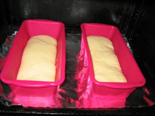 Bizcochos Canale - Tostadas dulces