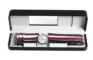 TerraGraph un accesorio tanto funcional como elegante