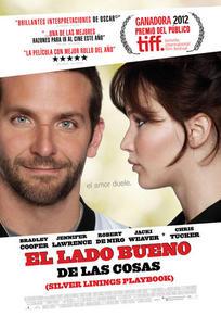 EL LADO BUENO DE LAS COSAS (SILVER LININGS PLAYBOOK)