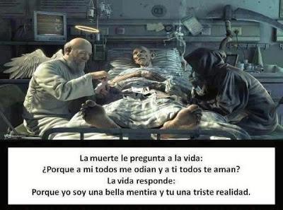 FASCINACION POR EL INSULTO VEROSIMIL