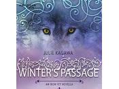 Iron #1.5. Winter's Passage, Julie Kagawa.