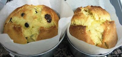 Panettone