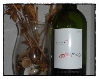 Tandem Ars In Vitro 2007