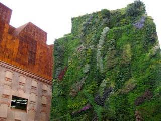 Jardines verticales. Ecoeficiencia en fachadas.