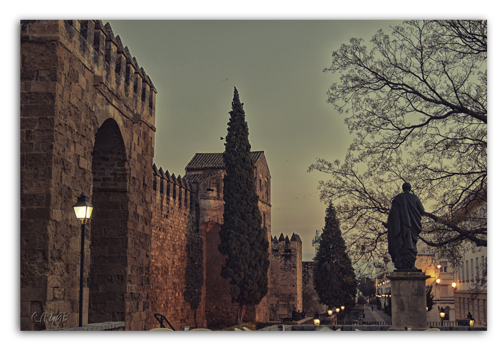 Córdoba de noche