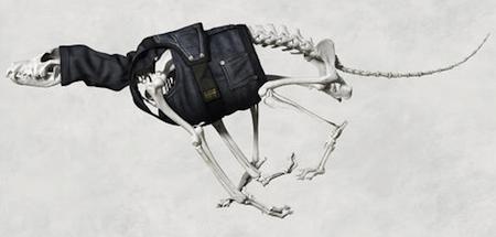 G-STAR Y SU ESQUELETO DE PERRO