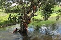 Un juego nada infantil