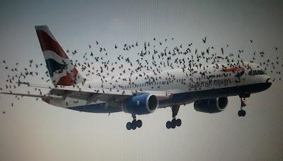 Fotos espectaculares de aviones