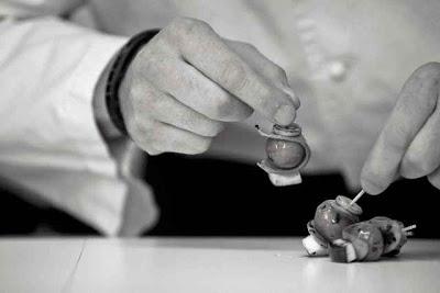 SIBARIS CATERING: un catering de autor al alcance de los novios