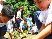 Efemérides ambientales