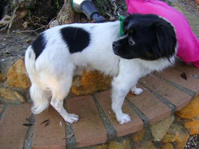 MESES DESPUÉS Y AÚN NO TIENE NINGUNA OPORTUNIDAD.POR FAVOR AYUDARLE,NECESITA SER FELIZ DESPUES DE TODO EL SUFRIMIENTO PASADO....‏