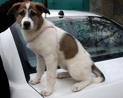 TRISTANA linda bebé, para comérsela!!!‏