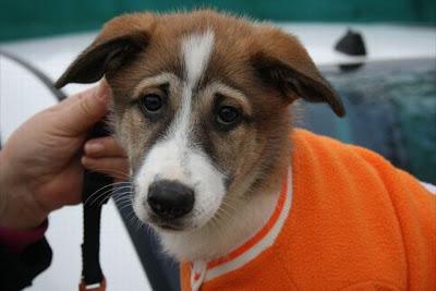 TRISTANA linda bebé, para comérsela!!!‏