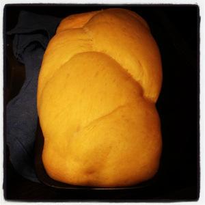 Foto 23-01-13 19 28 33