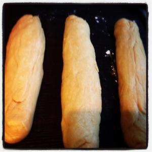 Foto 23-01-13 16 45 33