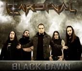 CARDINAL BUSCA BAJISTA