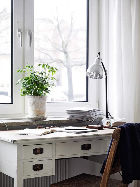 Delicadeza entre paredes...