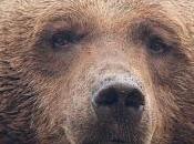 bien. Veamos estado hombre