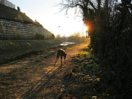 Al invierno, frío y temporales, buena cara y buen remedio...