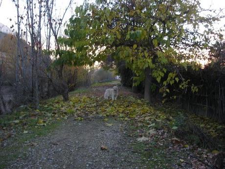 Al invierno, frío y temporales, buena cara y buen remedio...