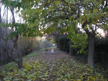 Al invierno, frío y temporales, buena cara y buen remedio...
