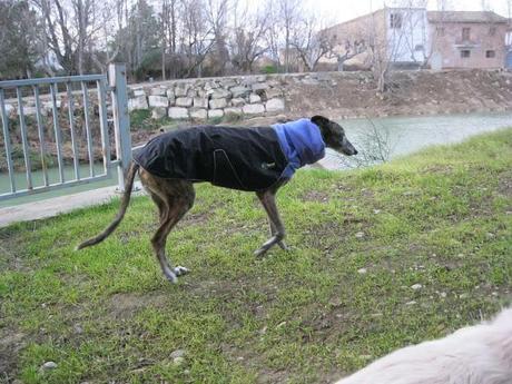 Al invierno, frío y temporales, buena cara y buen remedio...