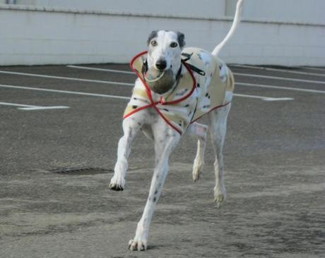 Al invierno, frío y temporales, buena cara y buen remedio...